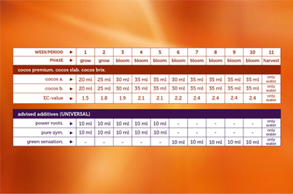 Plagron 100% COCO kweekschema - cocosa&b, cocos premium, cocos slab, cocos brix, power roots, pure zym, green sensation