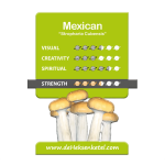 Mexican 'Psilocybe Cubensis' Growkit - 250CC - SMALL
