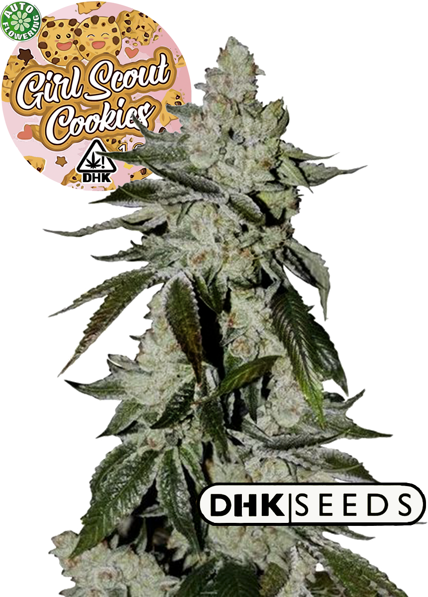 GIRL SCOUT COOKIES AUTOFLOWER De Heksenketel