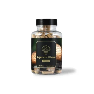 Agaricus Blazei 120 caps - Zuiverend