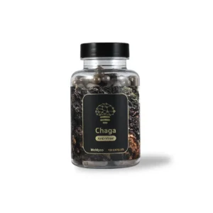 Chaga 120 caps - Anti-Viraal