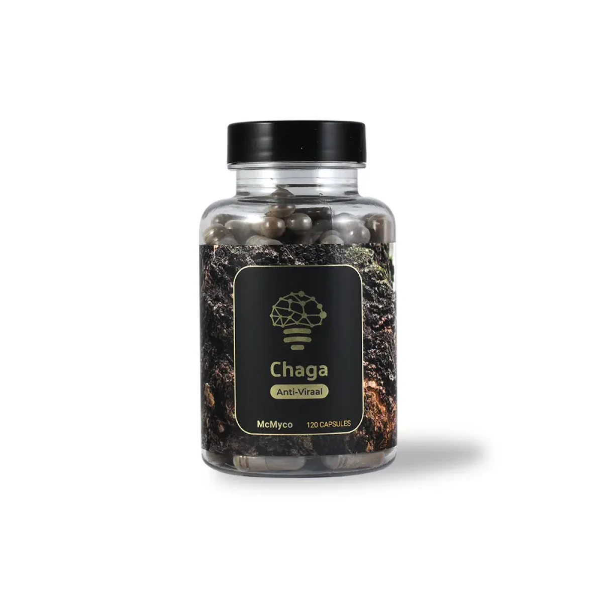 Chaga 120 caps - Anti-Viraal