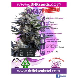 AK47 FEMINISED