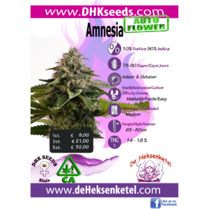AMNESIA AUTOFLOWER