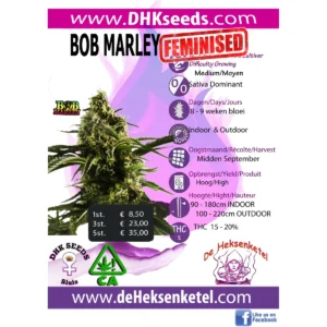 BOB MARLEY FEMINISED