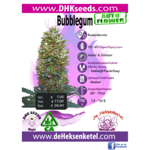 BUBBLEGUM AUTOFLOWER