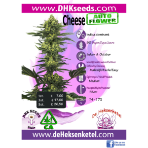 CHEESE AUTOFLOWER