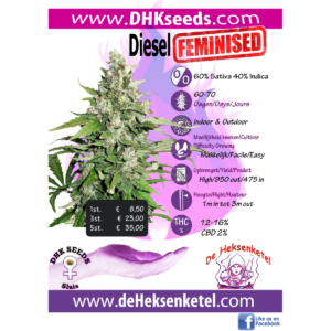DIESEL FEMINISED