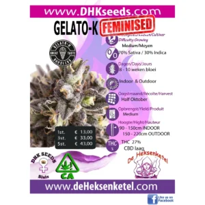 GELATO-K FEMINIZED
