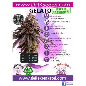 GELATO-K AUTOFLOWER