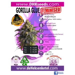 GORILLA GLUE FEMINIZED