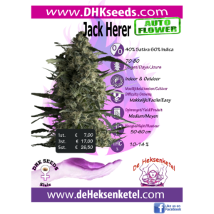 JACK HERER AUTOFLOWER
