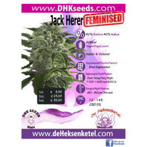 JACK HERER FEMINISED