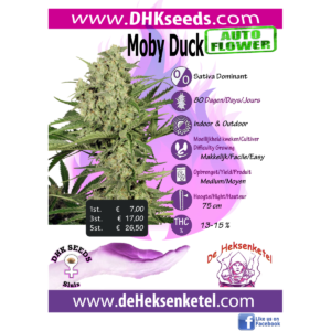 MOBY DUCK AUTOFLOWER