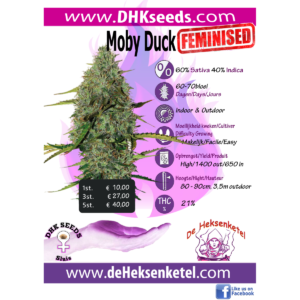 MOBY DUCK FEMINISED