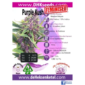 PURPLE KUSH FEMINIZED