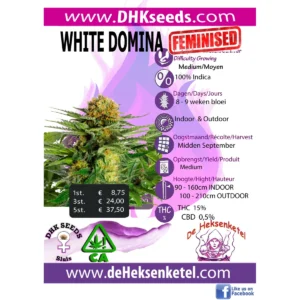 WHITE DOMINA FEMINISED