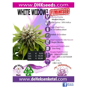 WHITE WIDOW² FEMINISED