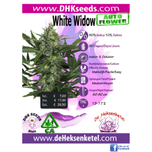 WHITE WIDOW AUTOFLOWER