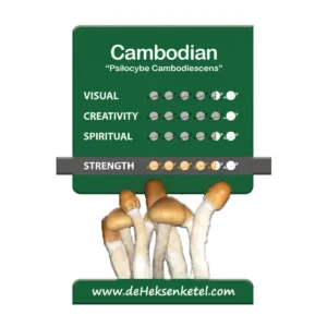 Cambodian 'Psilocybe Cambodiescens' Growkit - 1200CC - LARGE