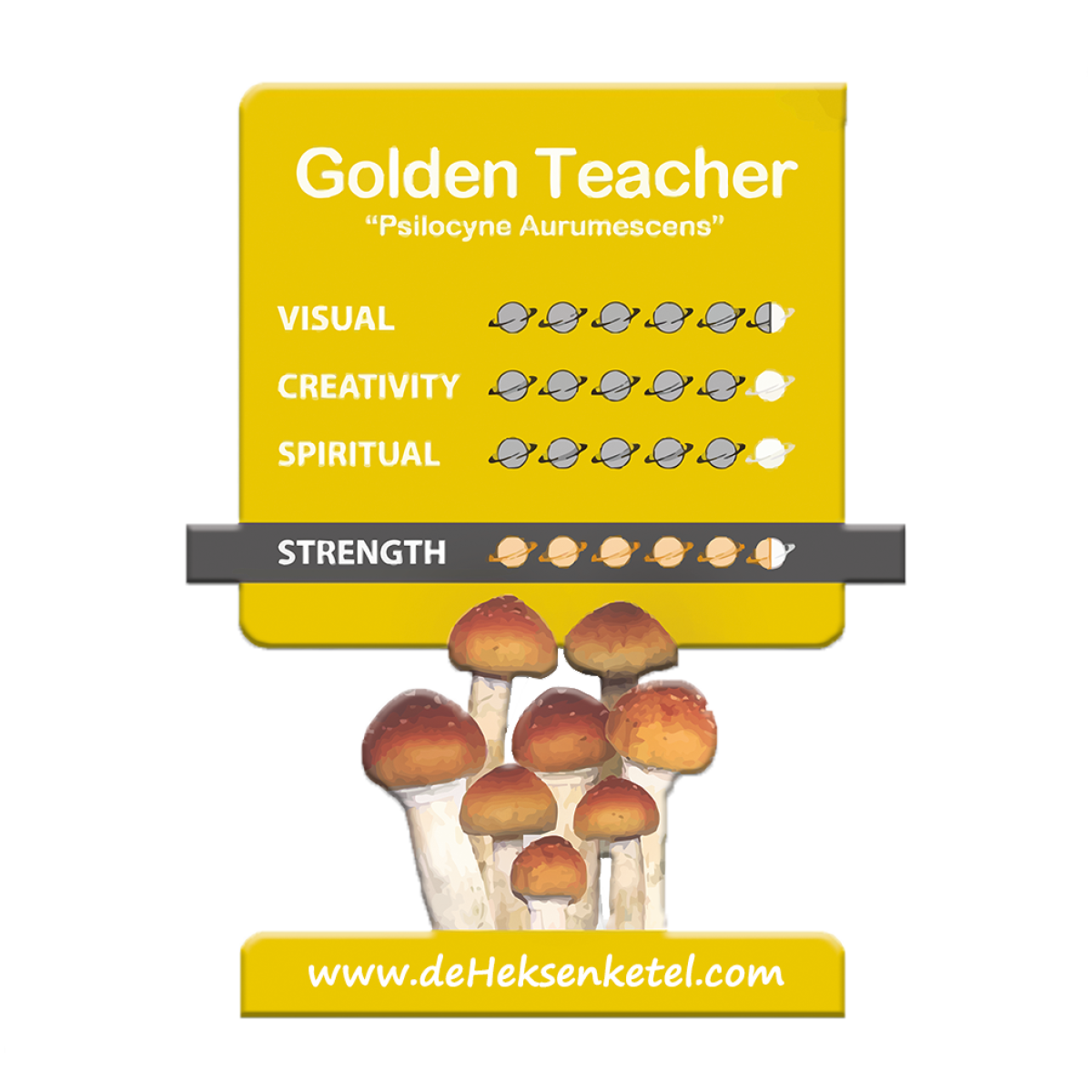 Golden Teacher 'Psilocybe Aurumescens' Growkit