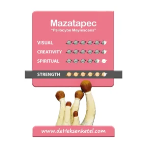 Mazatapec 'Psilocybe Mayiescens' Growkit - 1200CC - LARGE