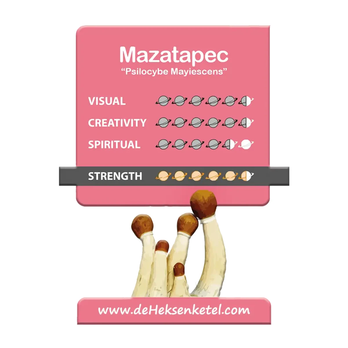 Mazatapec 'Psilocybe Mayiescens' Growkit - 1200CC - LARGE