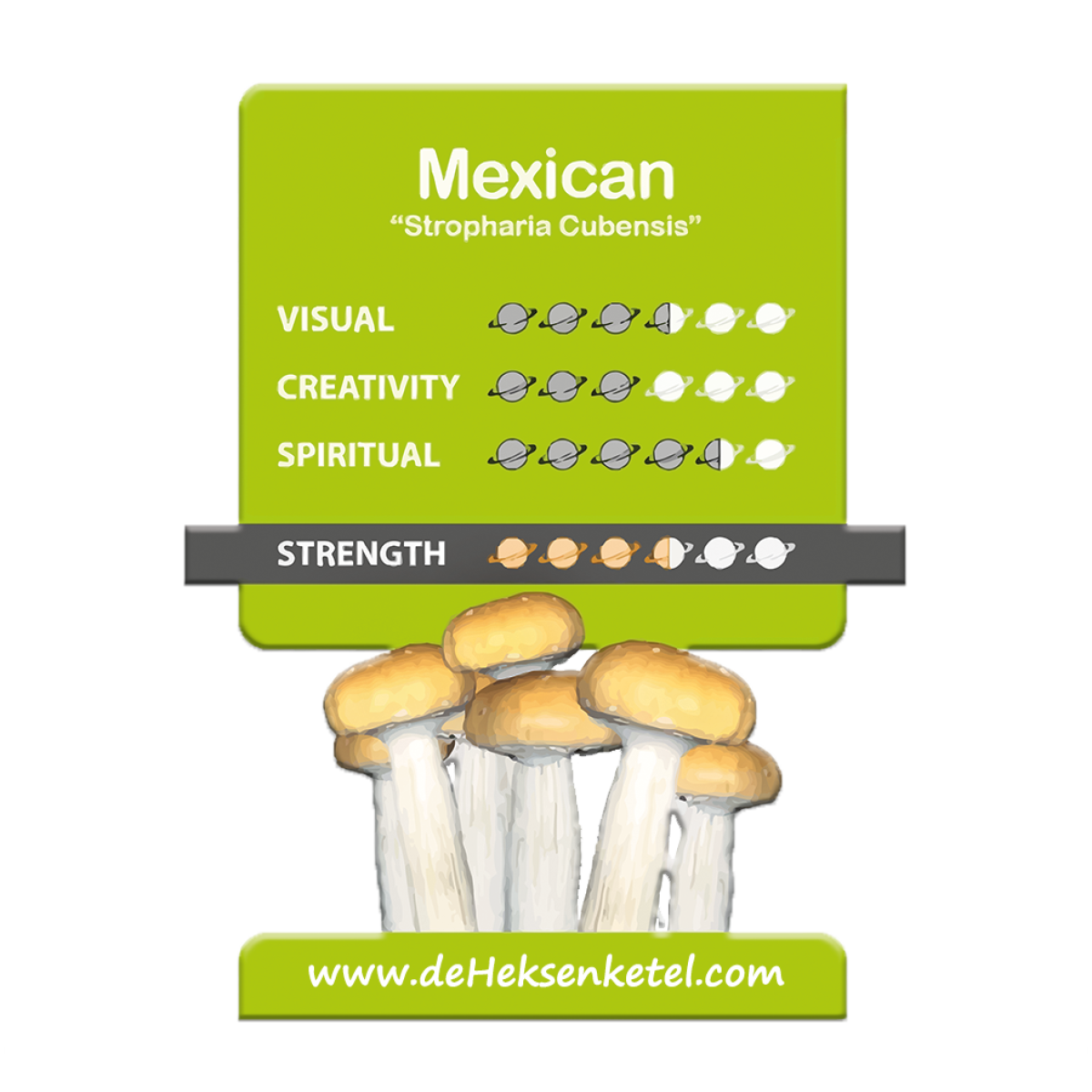 Mexican 'Psilocybe Cubensis' Growkit