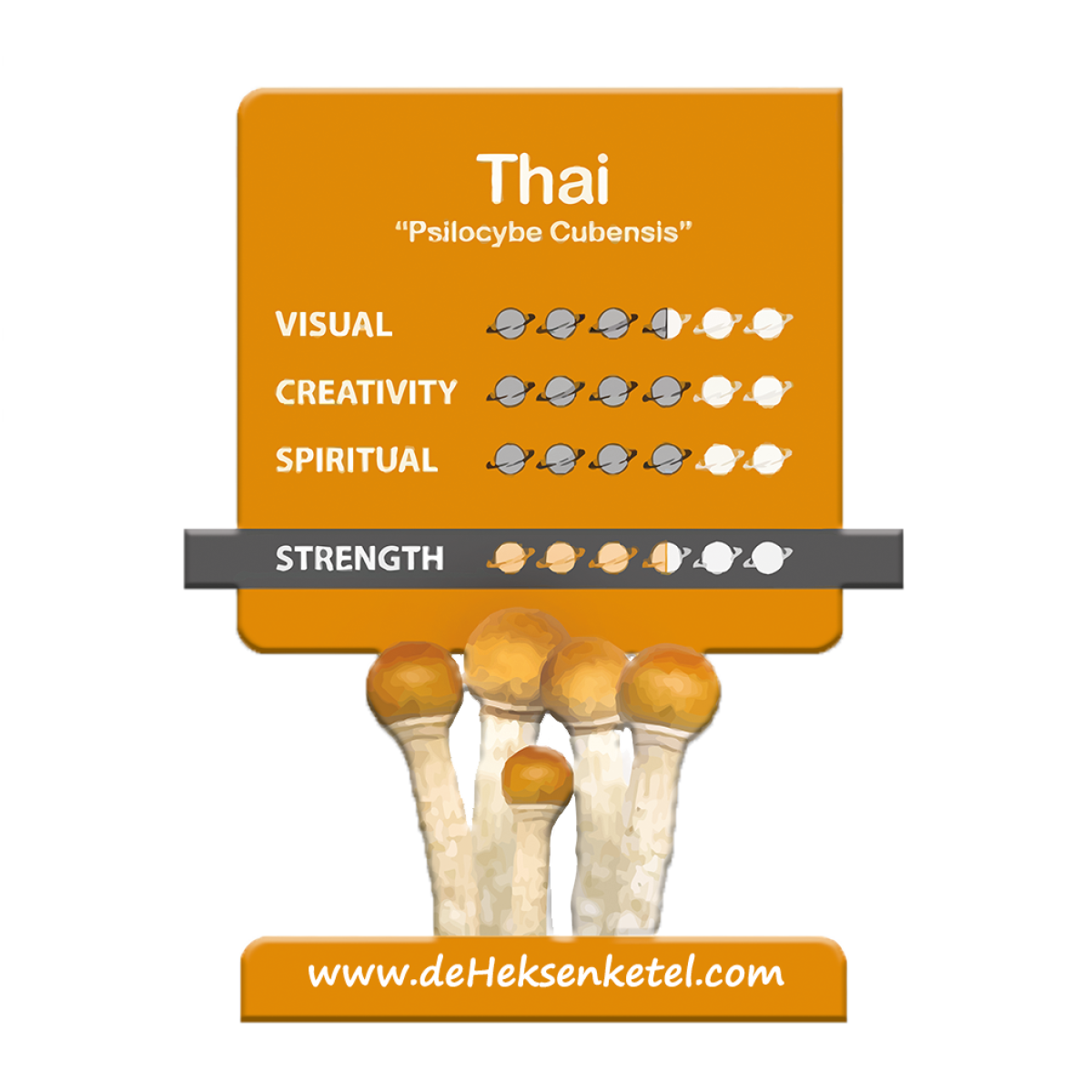 Thai 'Stropharia Cubensis' Growkit