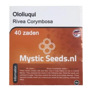 Rivea Corymbosa – Ololiuqui - 40 Zaden