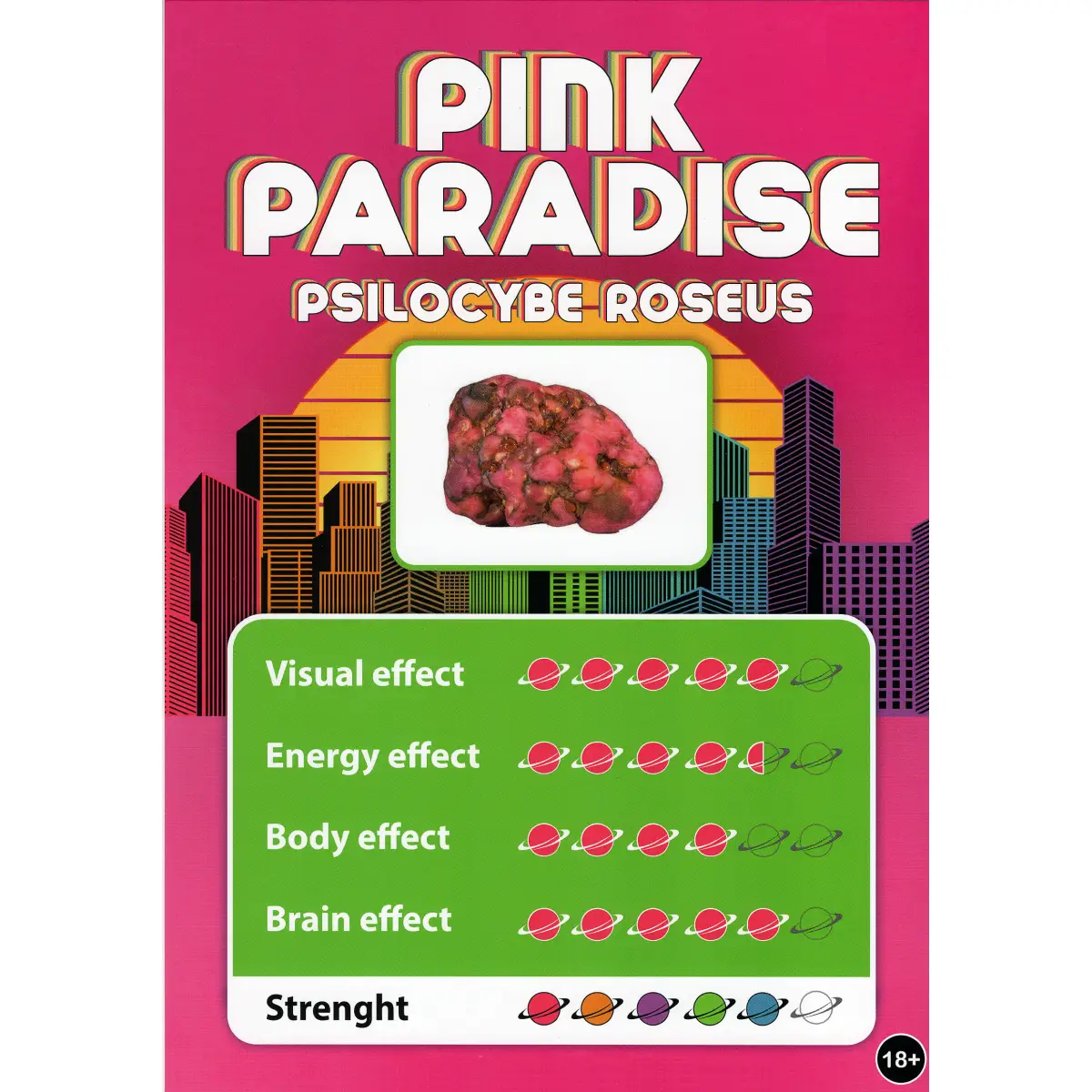 Pink Paradise - Afbeelding 5