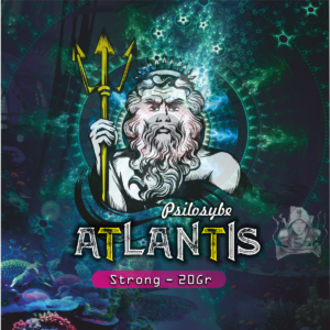 Psilocybe Atlantis