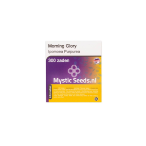 Morning Glory - 300 Zaden