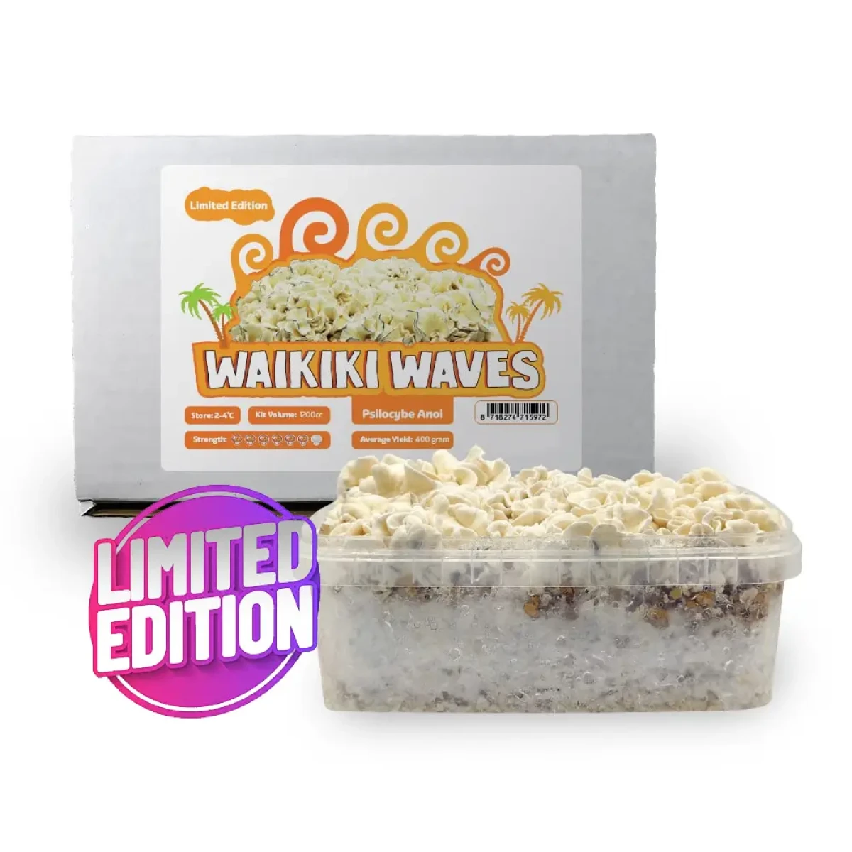 Waikiki Waves 'Psilocybe Anoi' Growkit - 1200CC - LARGE - Afbeelding 2