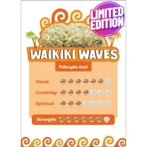 Waikiki Waves 'Psilocybe Anoi' Growkit - 1200CC - LARGE