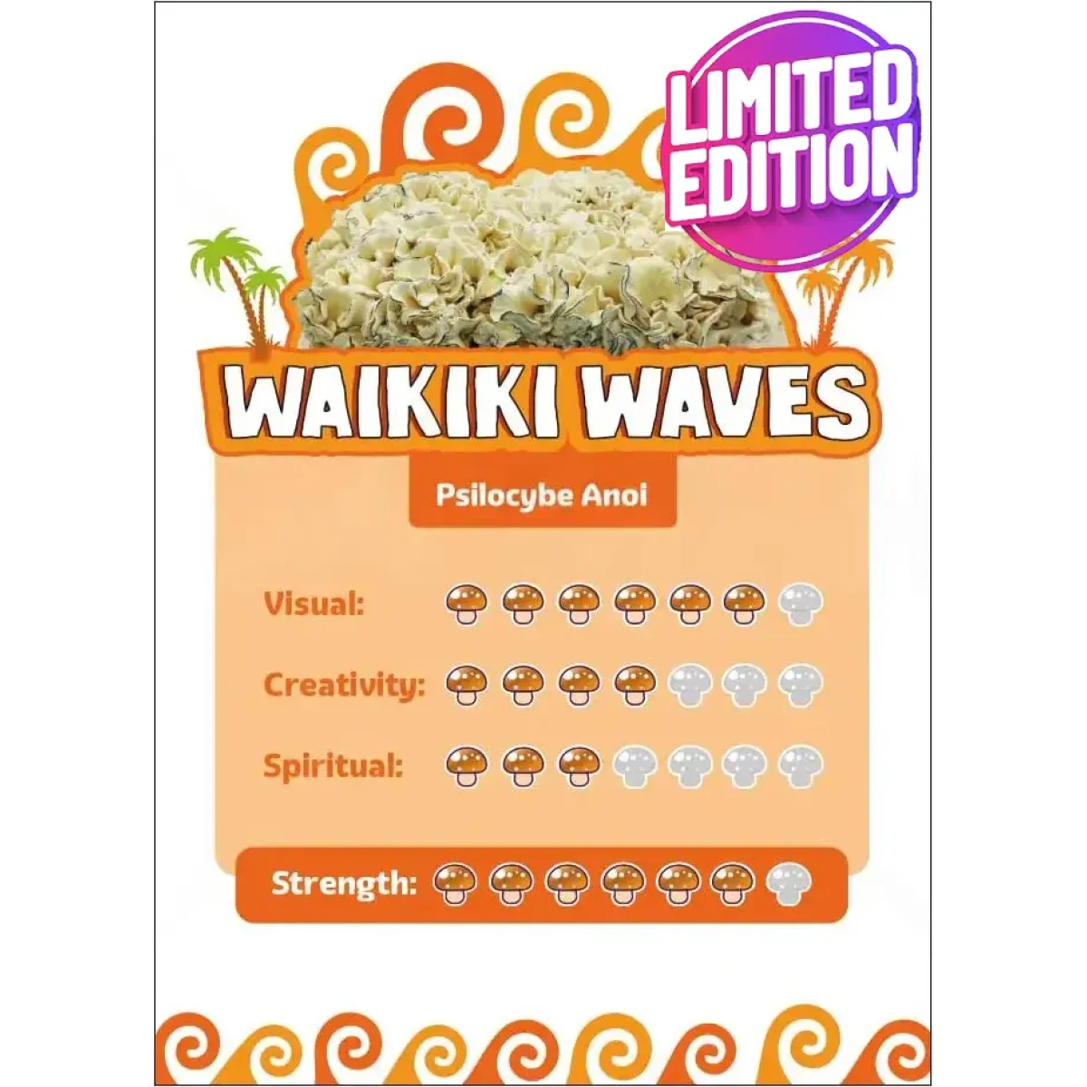 Waikiki Waves 'Psilocybe Anoi' Growkit - 1200CC - LARGE