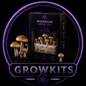 🍄Paddo Growkits