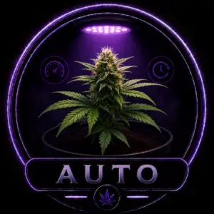 AutoFlower