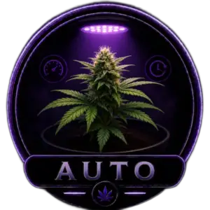 AutoFlower