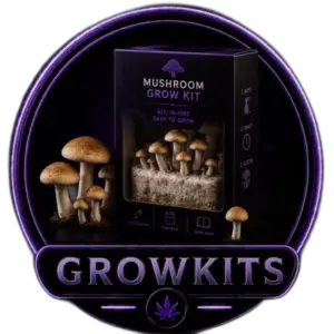 🍄Paddo Growkits